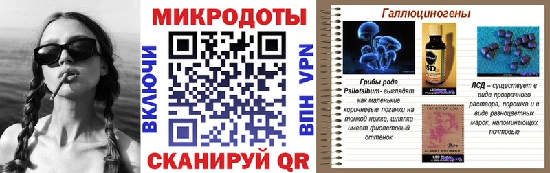 Галлюциногенные грибы прущие грибы  Советская Гавань 